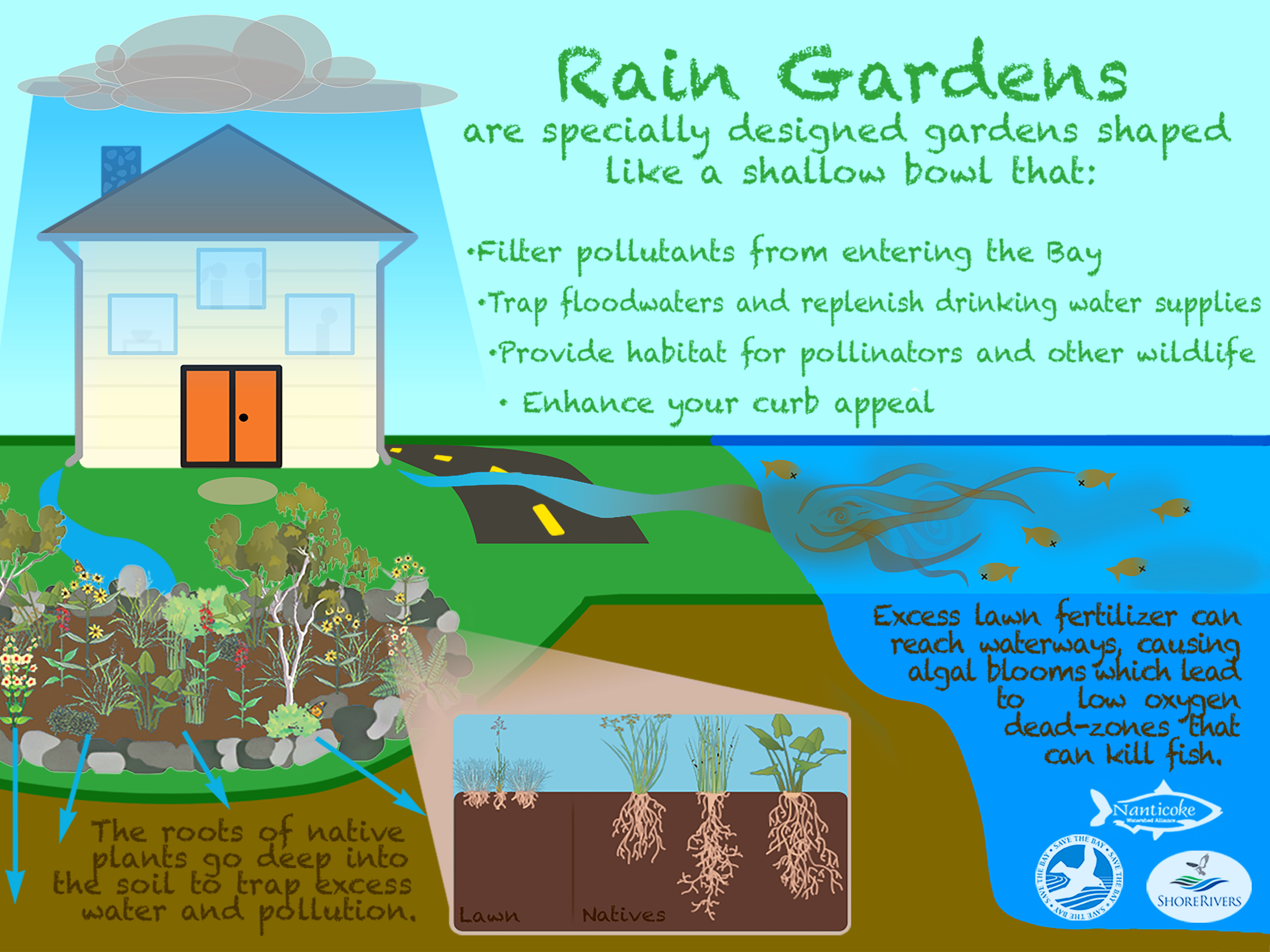 Creating a Rain Garden  Save The Great South Bay