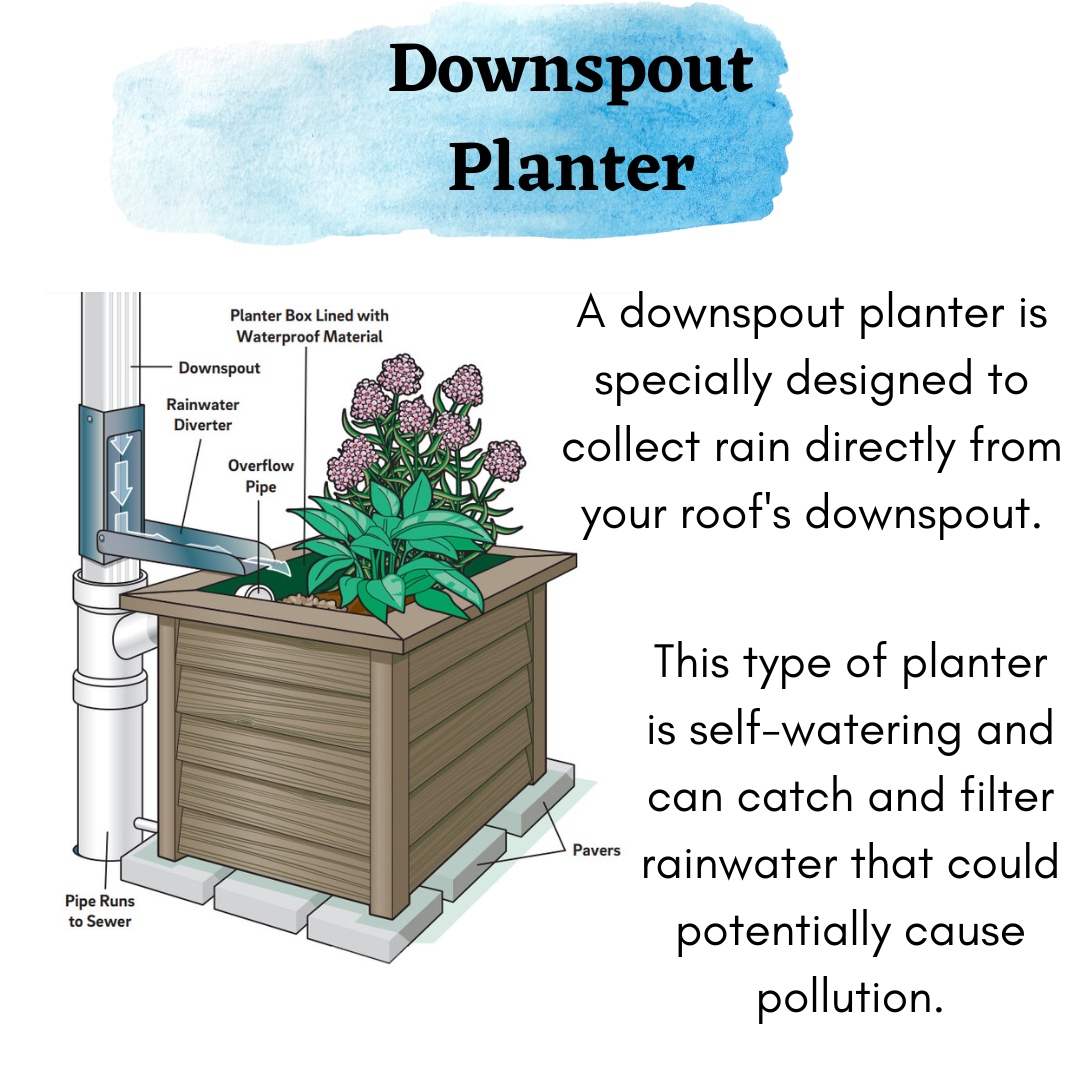 Why You Need to Waterproof Your Planters