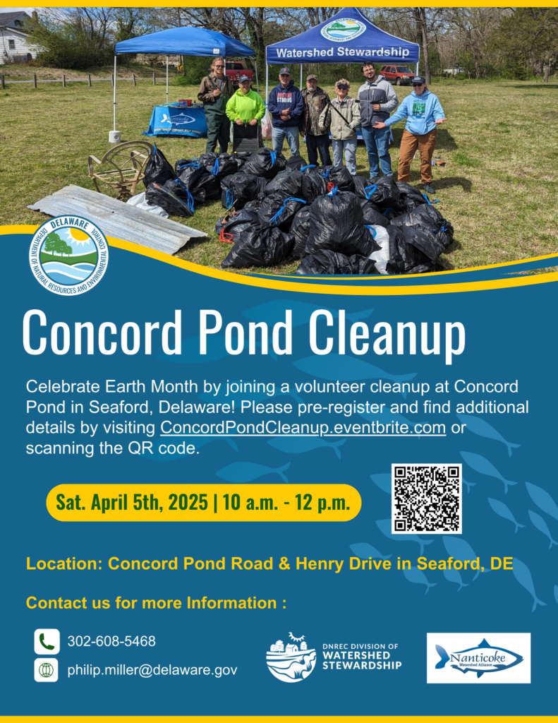 Concord Pond Cleanup 2025