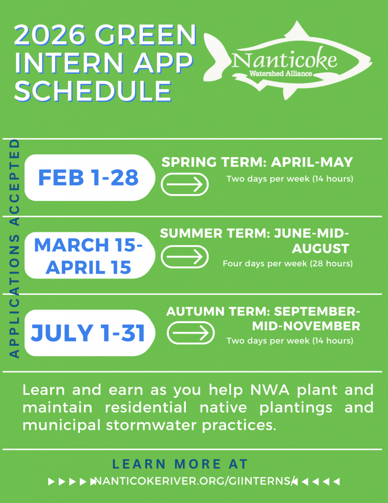 2026 Green Intern application and term schedule